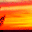 fireSky.gif